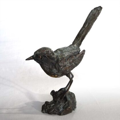 Alastair Barnes Cape Robin