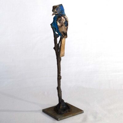 Alastair Barnes Blue Tit