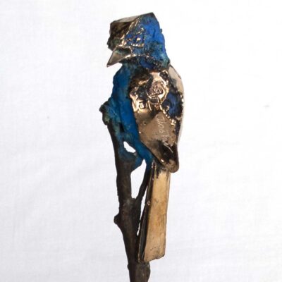 Alastair Barnes Blue Tit