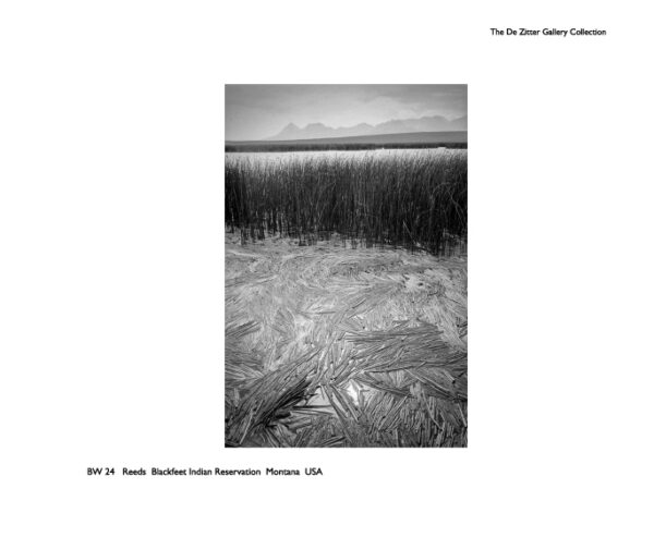 Harry de Zitter Reeds Blackfeet - Montana, U.S.A