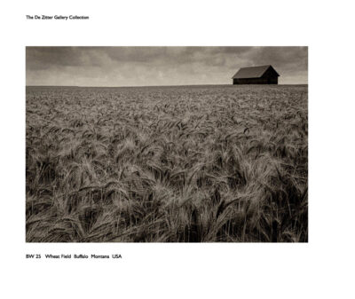 Harry de Zitter BW25 Wheat field Buffalo, Montana USA