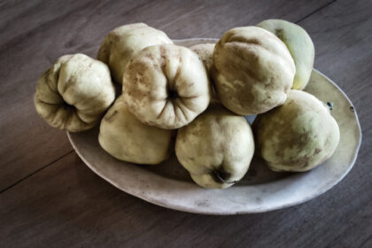 Harry de Zitter Still life with quinces