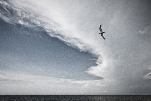 Harry de Zitter "Chasing Clouds" series Gulf of Mexico Florida USA