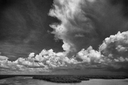Harry de Zitter "Chasing Clouds" series The Everglades Florida