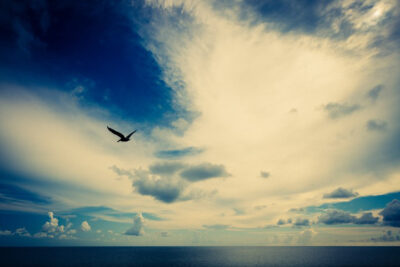 Harry de Zitter "Chasing Clouds" series Gulf of Mexico Florida USA