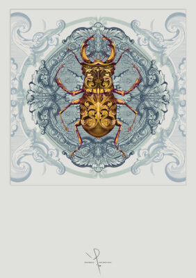 Ivan Smith Stag Beetle