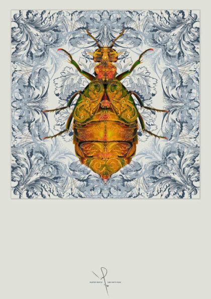 Ivan Smith Blister Beetle