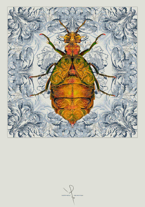 Ivan Smith Blister Beetle