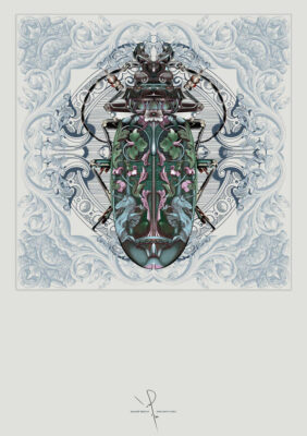 Ivan Smith Soldier Beetle