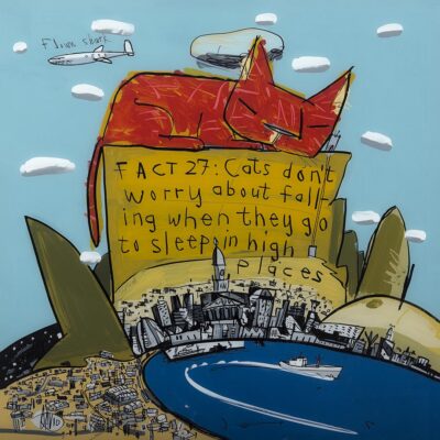 David Kuijers - Fact 27