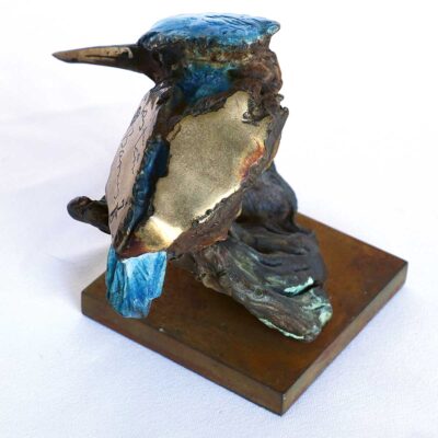 Alastair Barnes 10357 Kingfisher