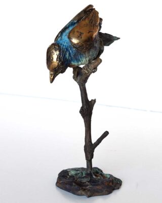 Alastair Barnes 10355 Bluebird 1