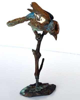 Alastair Barnes - Bluebird