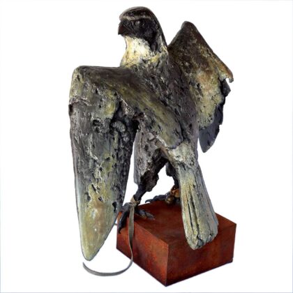 Alastair Barnes 10359 Peregrine Falcon 1 Alastair Barnes - Peregrine Falcon