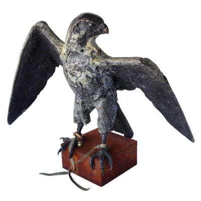 Alastair Barnes - Peregrine Falcon