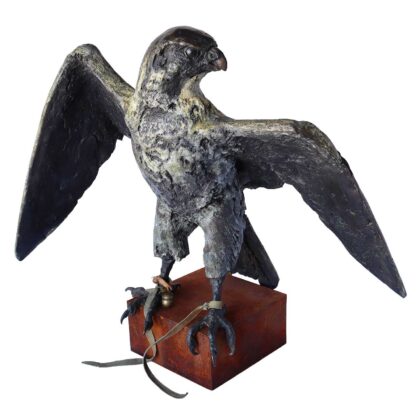 Alastair Barnes - Peregrine Falcon