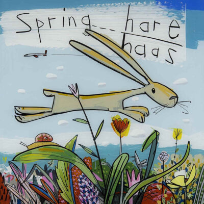 David Kuijers HAAS Spring Hare