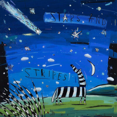 David Kuijers SAS Stars and stripes