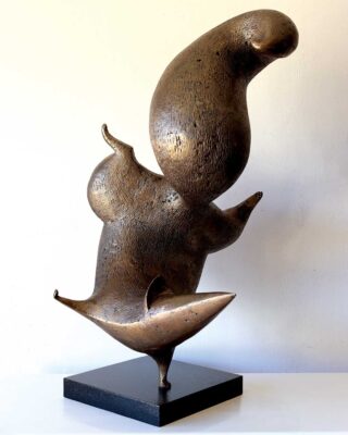 Andrew Hofmeyr - Koljander