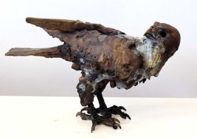 Alastair Barnes - Kestrel