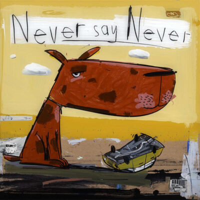 David Kuijers - NSN Never Say Never