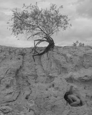 Angelika Kollin - Gestation