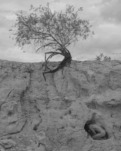 Angelika Kollin - Gestation