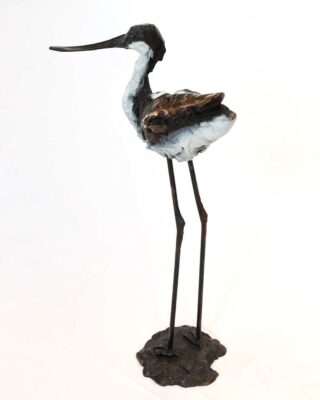 Alastair Barnes - Avocet