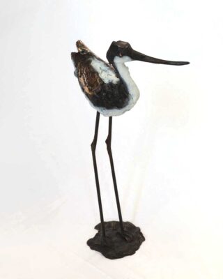 Alastair Barnes - Avocet