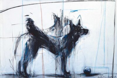 Candice Dawn Blignaut - Chaos Found His Ball