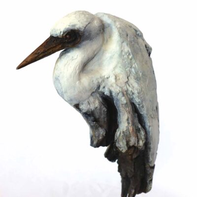 Alastair Barnes 11005 Egret Resting 3