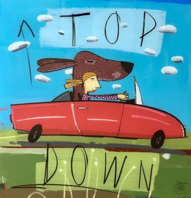 David Kuijers - TD Top Down