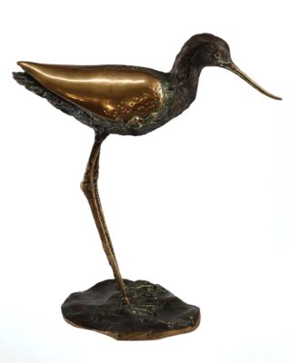 Alastair Barnes 11039 Avocet