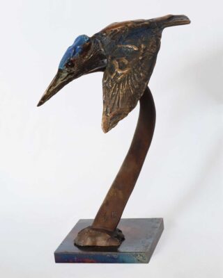 Alastair Barnes Diving Kingfisher