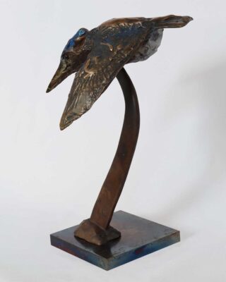 Alastair Barnes Diving Kingfisher