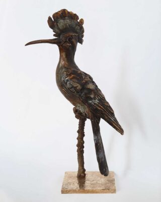 Alastair Barnes - Hoepoe