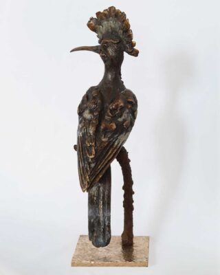 Alastair Barnes - Hoepoe