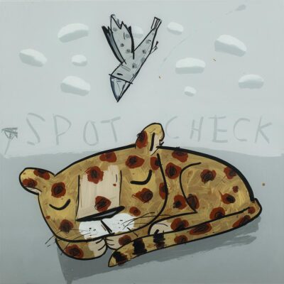 David Kuijers - SC Spot Check