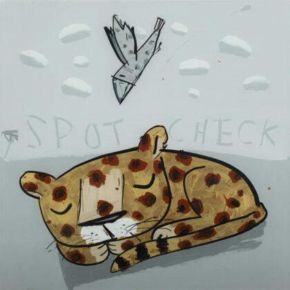 David Kuijers - SC Spot Check