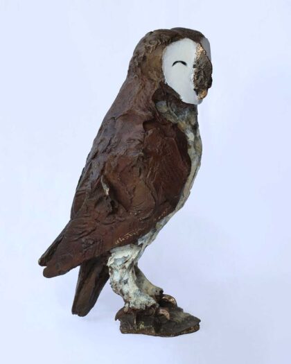 Alastair Barnes 11206 Sleepy Barn Owl 2 Alastair Barnes 11206 Sleepy Barn Owl 2