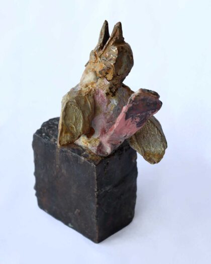 Alastair Barnes 11208 Fledgling 2