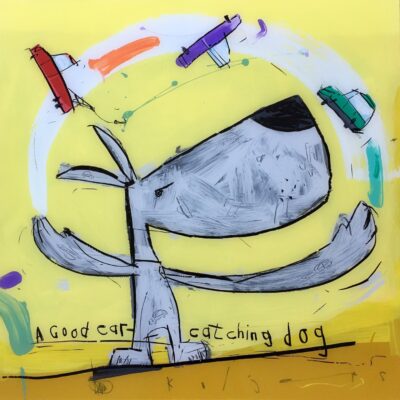 David Kuijers - GCCD Good Car Catching Dog