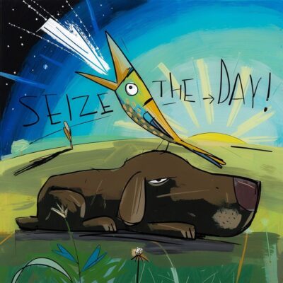 David Kuijers - STD Seize the Day