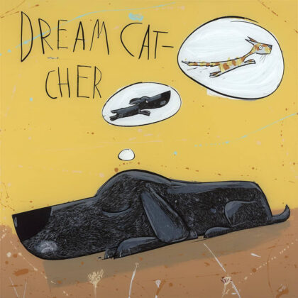 David Kuijers - DC Dream Catcher