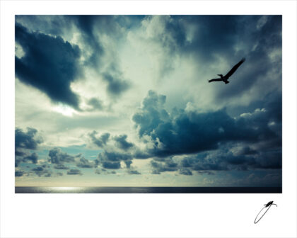 Harry de Zitter - Chasing Clouds 1