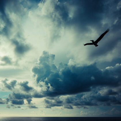 Harry de Zitter Chasing Clouds