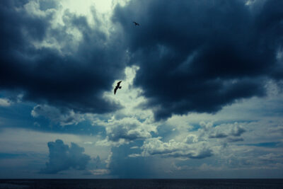 Harry de Zitter Chasing Clouds image 10