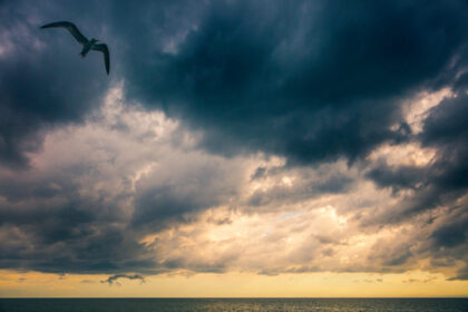 Harry de Zitter Chasing Clouds image #2