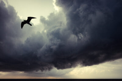 Harry de Zitter Chasing Clouds image #3