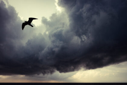 Harry de Zitter Chasing Clouds image #3